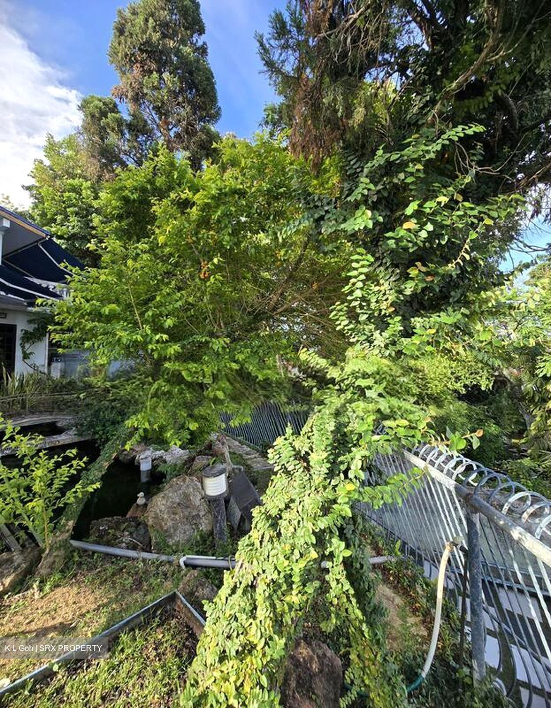 Siglap Road (D15), Detached #502296551